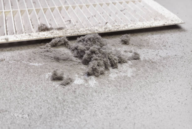 Best Air Duct Cleaning Near Me  in Pleasant Grove, OH