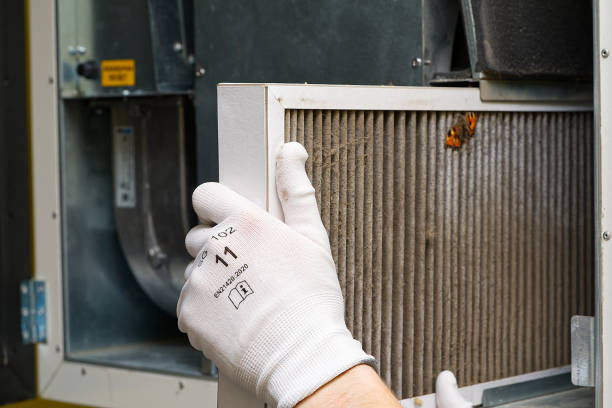 Best Air Duct Cleaning Near Me  in Pleasant Grove, OH