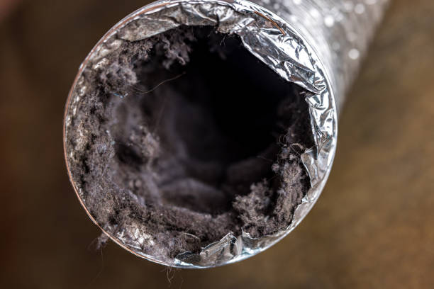 Best Dryer Vent Cleaning Services  in Pleasant Grove, OH