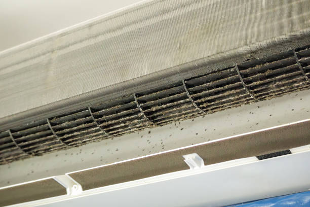 Best Local Air Duct Cleaning Services  in Pleasant Grove, OH
