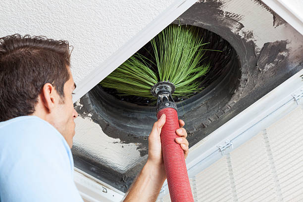 Best Air Vent Cleaning Services  in Pleasant Grove, OH