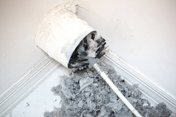 Best Air Duct Cleaning Near Me  in Pleasant Grove, OH